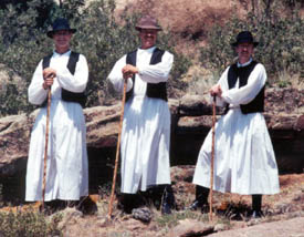 SMFD men in Zempleni costume