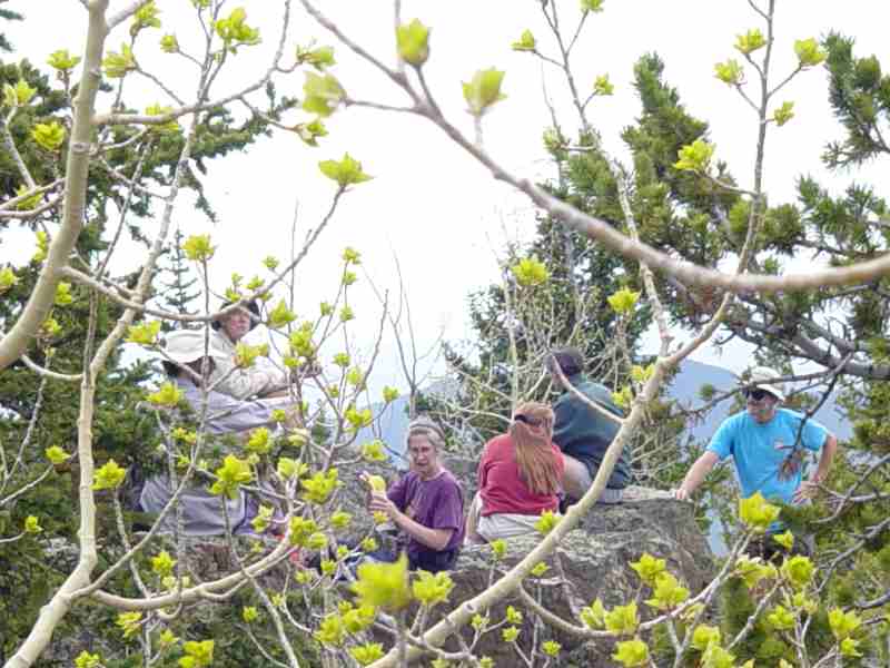 Hike up Storm Mountain