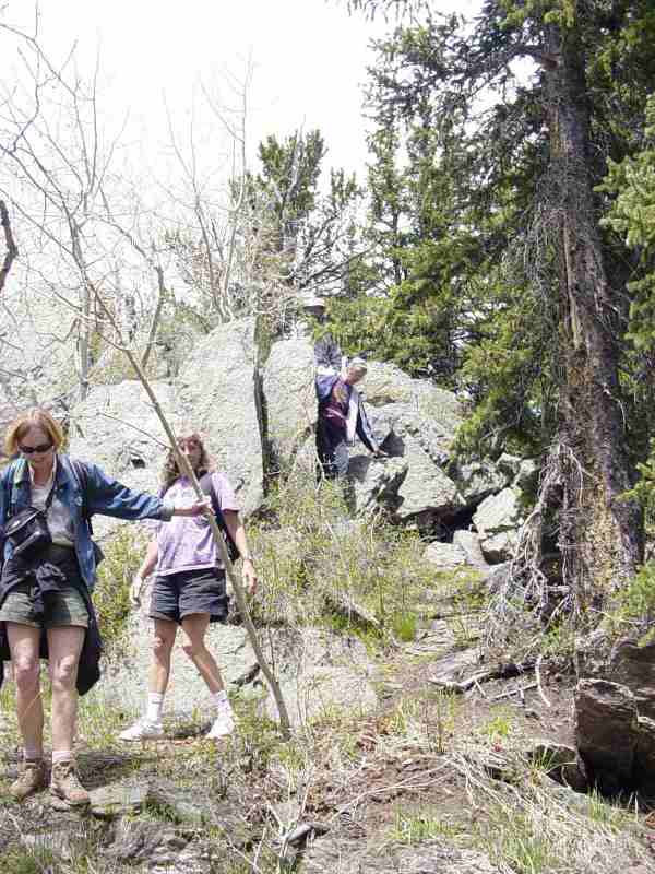 Hike up Storm Mountain