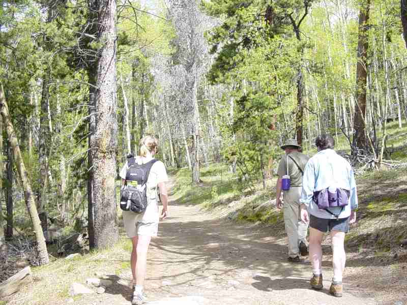 Hike up Storm Mountain