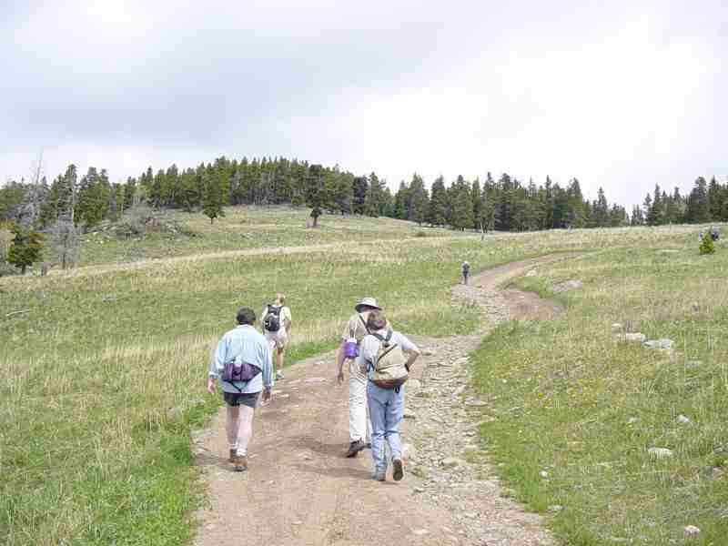 Hike up Storm Mountain